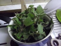 /album/galerie-photos/imgp3435-jpg/