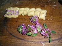 /album/galerie-photos/biscuitstr%c3%a8fle2-jpg/