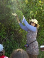 /album/decouvertes-en-balade/imgp3882-jpg/