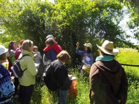 /album/decouvertes-en-balade/imgp3884-jpg/