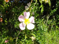 /album/decouvertes-en-balade/imgp3889-jpg/