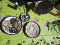 /album/decouvertes-en-balade/imgp3895-jpg/