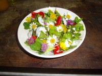 /album/galerie-photos/imgp4771-jpg/