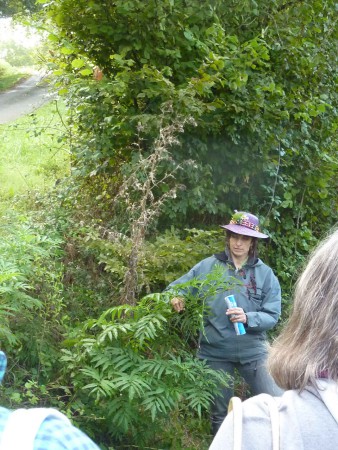 Attention aux confusions ... l'importance de voir sur le terrain !