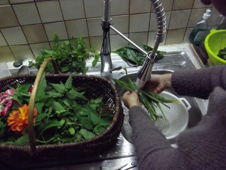 Un nettoyage minutieux est nécessaire ! puis trempage à l'eau additionnée de vinaigre blanc : 5 à 10 mn !