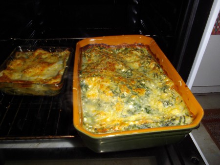 LASAGNES d'ORTIE ... sentez ... hum  !