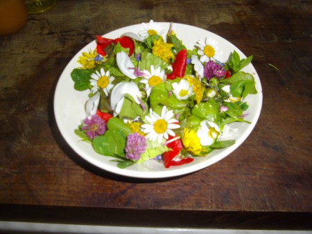 une salade printanière